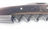  Wine waiter Oak Wood from Barrique