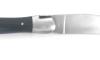 Laguiole Tradition 12 cm - 2 Bolsters - 2 pieces - Ebony Wood 2