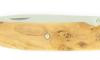 Nautilys - Juniper Wood 4