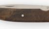 Nautilys - Wood from Gunstock (XIX° century) 4