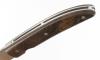 Nautilys - Wood from Gunstock (XIX° century) 5