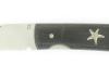 Mini - Silver Sea Star - Ebony Wood