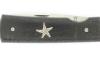 Mini - Silver Sea Star - Ebony Wood 4