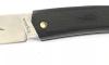 Fuji - Ebony Wood