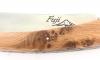 Fuji - Juniper Wood 5