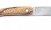 Saint Guilhem - Snakewood Scale 3