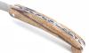 Saint Guilhem - Snakewood Scale 4