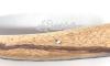 Saint Guilhem - Snakewood Scale 5