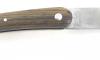 Saint Guilhem - Little Size - Pistachio wood 3