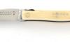 Design Beillonnet MOF - Laguiole 12 cm  - ScrewCork - Camel Bone