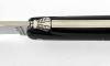 Design Beillonnet MOF - Laguiole 11 cm - Buffalo Horn 2