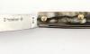 Agenais 12 cm - Ram Horn - Worked Spring - exposed rosettes