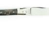 Laguiole 12 cm - Gross Buffalo - 2 bolsters 2