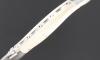 Laguiole 12 cm - Holy Wood - 2 bolsters 5