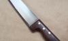 Butcher 11 1/5&quot; (28 cm) - Stainless Steel - Palissander Wood - Ref 30