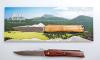 Brin d&#039;Auvergne - Pocket - Yew Wood 5