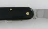 6 Pieces Knife - Stainless Steel - Horn Handle 2