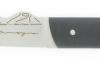 1 Table - Brin d&#039;Auvergne Black Plastic (Ebony Color)