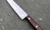 7 in Slicing Knife - Palissander Wood - Carbon steel - rosette rivets - Ref 420