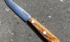 3 1/2 in Yatagan Parer - Le Petit K - Olive Handle