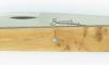 Sauveterre Full Handle Juniper Wood 3